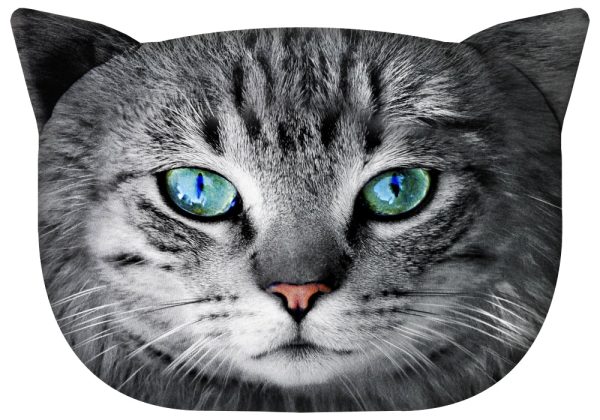 Cuddly designer pillow with cat motif cat pillow decorative pillow with hidden zipper and filling pillow Fryc Schn?ppchen
