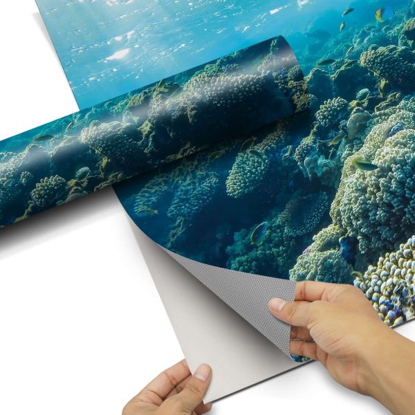 Möbelfolie IKEA Expedit Regal [oben] - Design: Underwater World Online-Schn?ppchen – Bild 5