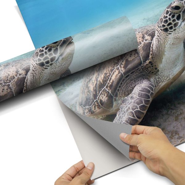 Folienbogen (60x60 cm) - Design: Green Sea Turtle Jetzt online – Bild 3