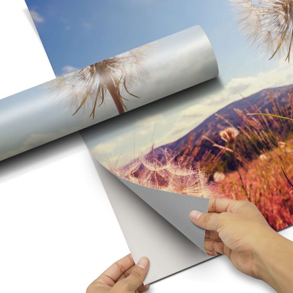 Folienbogen (100x150 cm) - Design: Dandelion Verkauf – Bild 3
