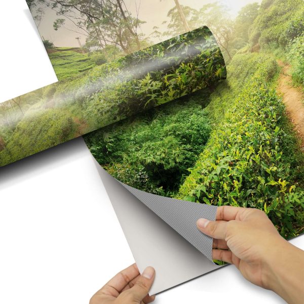 Möbelfolie IKEA Kallax Regal [oben] - Design: Green Tea Fields Im Angebot – Bild 5