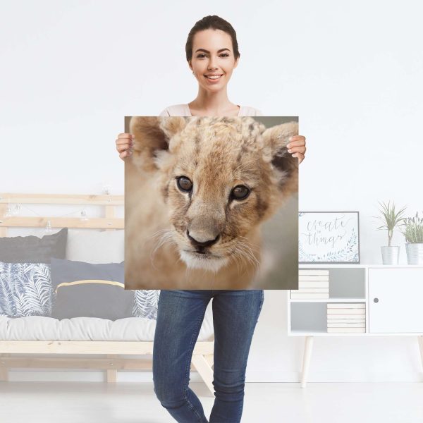 Folienbogen (60x60 cm) - Design: Simba Angebot – Bild 2